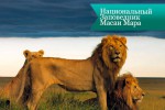 masai mara3 150x100 Национальный Заповедник Масаи Мара