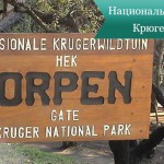 Национальный парк Крюгера